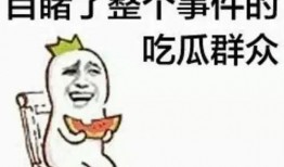 悠闲黑脸吃瓜群众
