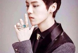 明星吃瓜鹿晗,明星间的幕后故事