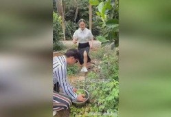 吃鸵鸟瓜,一场味蕾与自然的邂逅