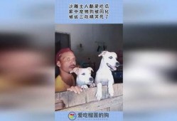 吃瓜的沙雕id