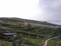雷山吃瓜事件,一场引发社会热议的网络狂欢