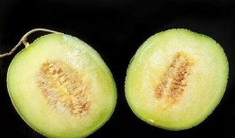 刺痛吃瓜,揭秘娱乐圈背后的真相与八卦