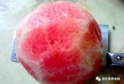 果老 扒皮 吃瓜吃瓜,揭秘娱乐圈的“吃瓜”真相