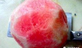 果老 扒皮 吃瓜吃瓜,揭秘娱乐圈的“吃瓜”真相