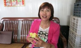 山东吃瓜女孩,揭秘网络红人的魅力与争议