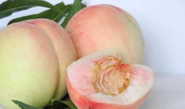 岑岑吃瓜蜜桃弟弟,弟弟甜蜜来袭