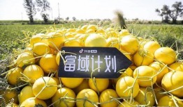 抖音安安吃瓜,揭秘网红幕后故事