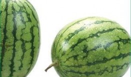 为什么有人吃瓜过敏