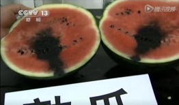 带你吃瓜珍贵录像,一场视觉盛宴背后的故事