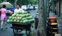 公路车路边吃瓜,悠闲吃瓜，感受骑行生活之美