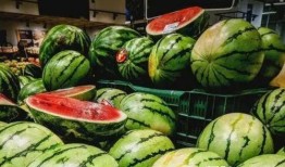 琦儿吃瓜,揭秘娱乐圈幕后故事