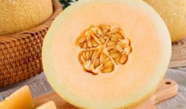 雪重子吃瓜,揭秘娱乐圈的甜蜜与苦涩