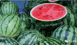 网上吃瓜卖瓜,揭秘吃瓜卖瓜背后的娱乐经济