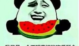 吃瓜凌乱后续,揭秘真相，揭开神秘面纱