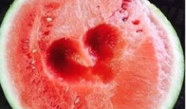 厦门最近吃瓜事件