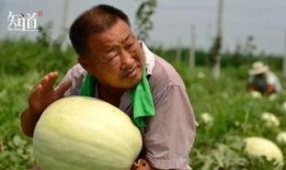 吃瓜河北神剪,揭秘民间剪纸艺术的魅力与传承