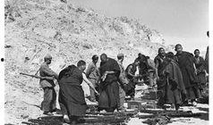 西藏吃瓜事件始末