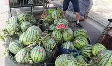 本溪吃瓜事件真相,真相与反思