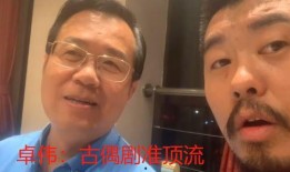 陶品如吃瓜视频,揭秘娱乐圈幕后故事