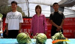 河北吃瓜大赛视频