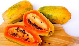 产妇可以吃乳瓜吗,产妇适宜食用乳瓜的健康指南