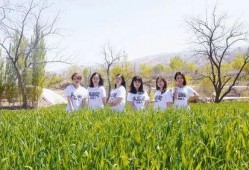 油菜花吃瓜,探寻田园风光中的生态和谐