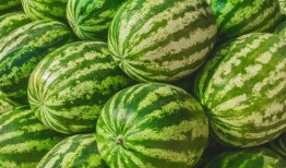 吃瓜福州网红,揭秘网络红人的魅力与争议