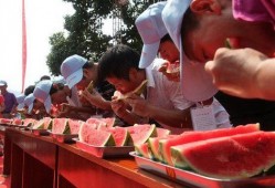 河北吃瓜大赛视频