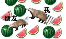 分享吃瓜犯罪吗,揭秘分享吃瓜可能涉及的犯罪风险