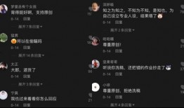 关于吃瓜的评论,揭秘网络评论背后的吃瓜文化