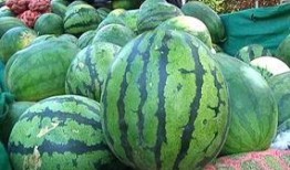 圆形的瓜怎样吃,圆形瓜果的多样食法探索