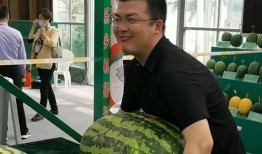 矮脚吃瓜,揭秘瓜农的甜蜜生活