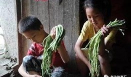 吃瓜江西姐弟视频,揭秘背后真相与网友热议