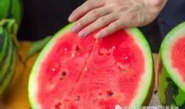 梦见在学校吃瓜,一场梦境中的甜蜜回忆