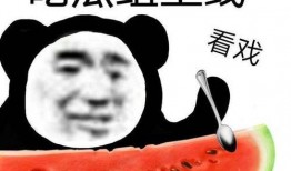 吃瓜温言,揭秘娱乐圈幕后故事