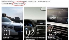 宝马阿姨吃瓜,宝马阿姨的瓜田奇遇记