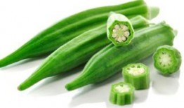 吃秋葵可以吃哈密瓜吗,秋季养生美食搭配指南