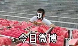 网友吃瓜事件,揭秘网络舆论背后的真相与争议