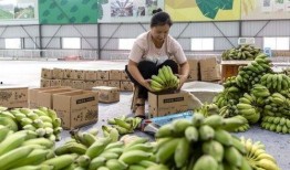 册亨县吃瓜,探寻当地特色美食之旅