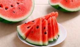 什么瓜吃不着,探寻生活中的趣味与哲理