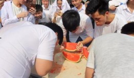 教育局吃瓜,揭秘吃瓜背后的真相与反思