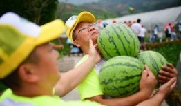 最近的吃瓜现场,揭秘明星幕后真相