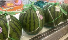 西瓜神仙吃瓜,揭秘夏日消暑美食的神奇魅力