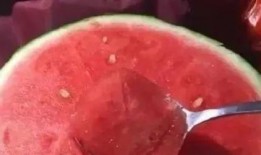 带你实现吃瓜自由,揭秘轻松享受美食的秘诀