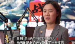 蒋洋吃瓜直播,揭秘娱乐圈幕后故事