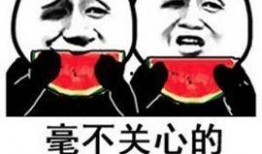 我是吃瓜之王,揭秘娱乐圈幕后真相