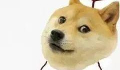 单身狗吃瓜表情,笑看人间百态