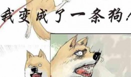 冰河吃瓜小说在线阅读,揭秘小说世界里的冰火奇缘