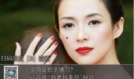 雪莉独家吃瓜,娱乐圈背后的惊人真相