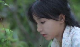 李子柒吃瓜事件,网络舆论的狂欢与反思